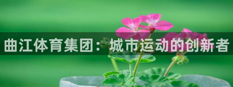 沐鸣2官网注册：曲江体育集团：城市运动的创新者